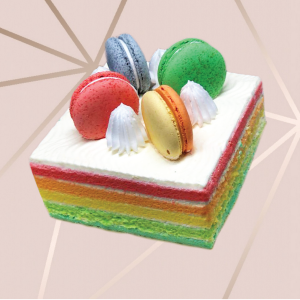 Rainbow Cake with 4 macarons